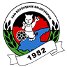 Vanspor FK